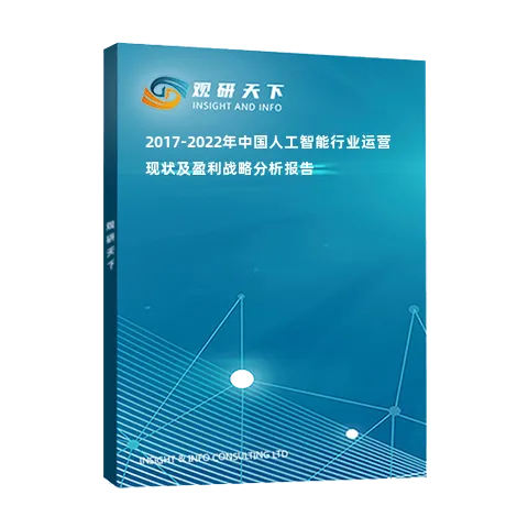 2017-2022年中国人工智能行业运营现状及盈利战略分析报告