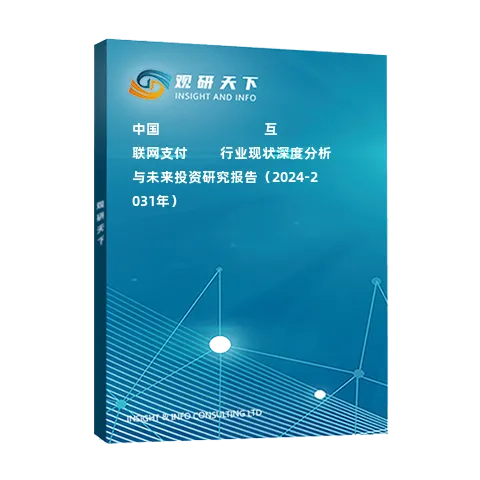 中国‌‌‌‌‌‌‌‌‌‌‌‌‌互联网支付‌‌‌‌行业现状深度分析与未来投资研究报告（2024-2031年）